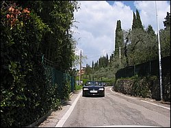 IMG_1442.jpg