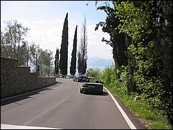 IMG_1443.jpg