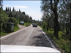 IMG_1446.jpg