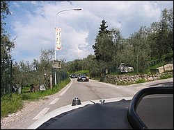 IMG_1447.jpg