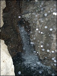 PICT0249.JPG