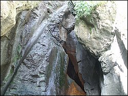 PICT0264.JPG