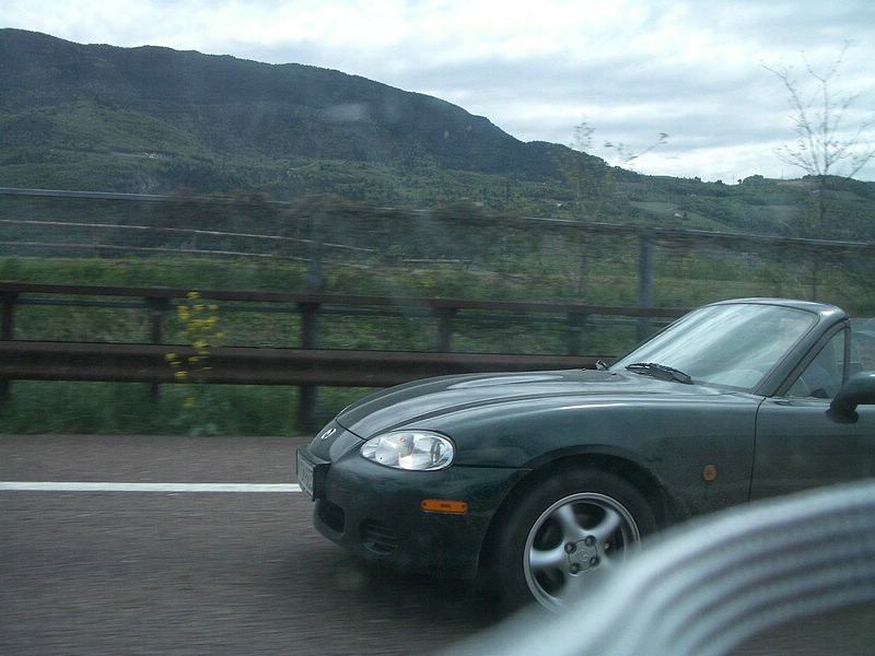 IMGP0338.JPG