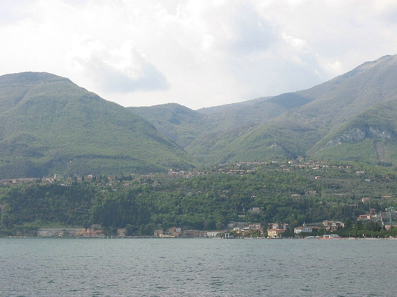 IMG_0498.jpg