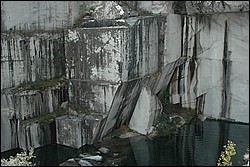DSC_0222.JPG