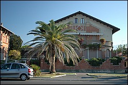 DSC_0267.JPG