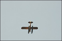 DSC_0311.JPG