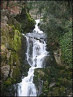 108_0830_r1.jpg