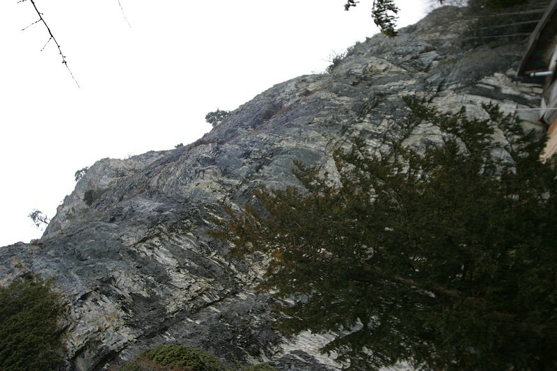 IMG_0750.jpg