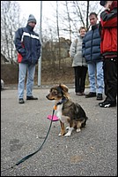 IMG_0574.jpg