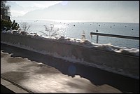 IMG_0636.jpg