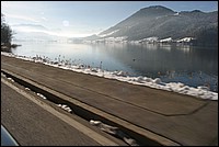 IMG_0639.jpg