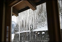 IMG_0737.jpg