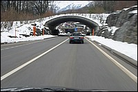 IMG_0742.jpg