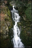 IMG_0745.jpg