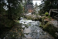 IMG_0747.jpg