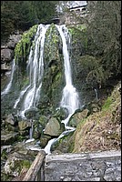 IMG_0748.jpg