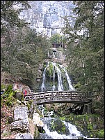 IMG_0239.jpg