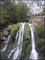 IMG_0242.jpg
