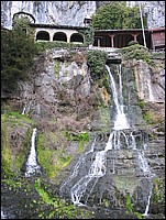 IMG_0250.jpg