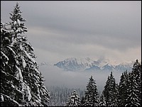 IMG_0258.jpg