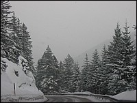 IMG_0279.jpg