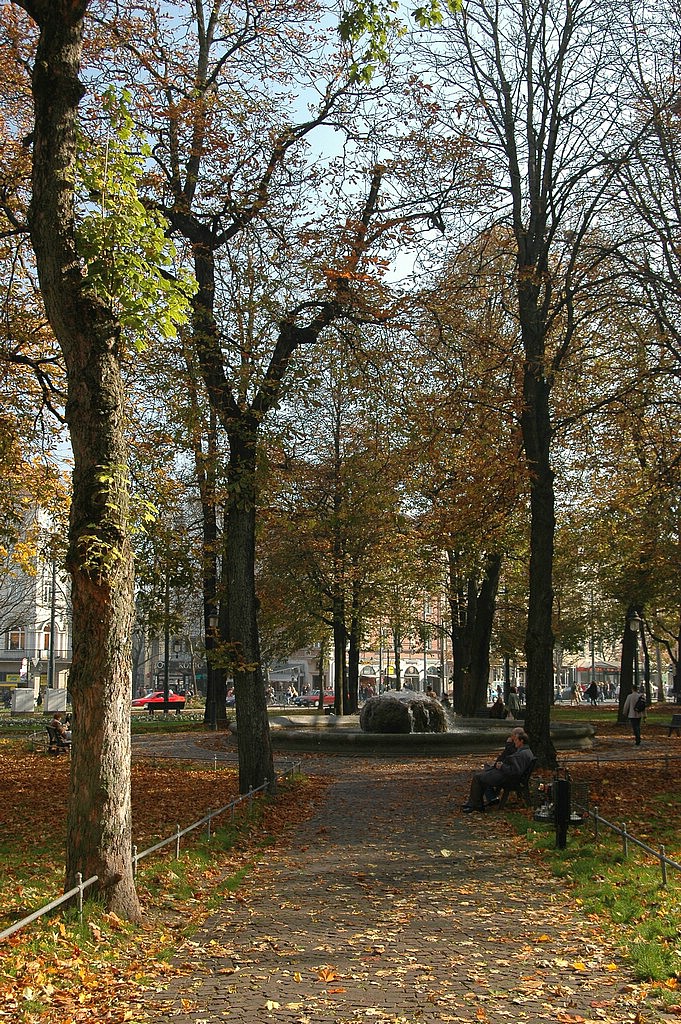 DSC_0032.JPG