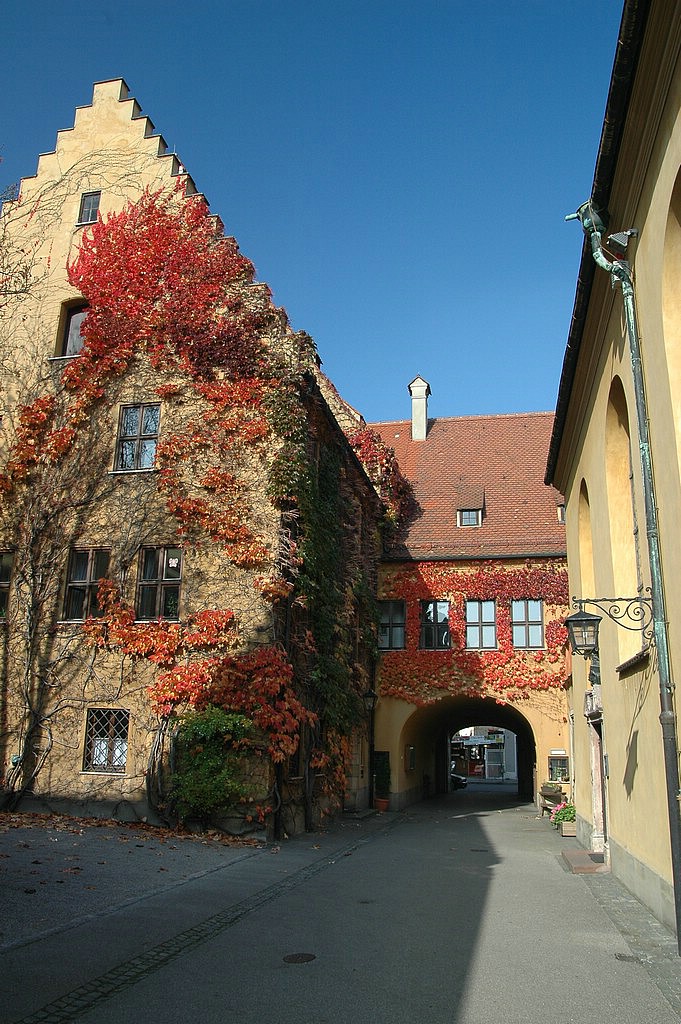 DSC_0076.JPG