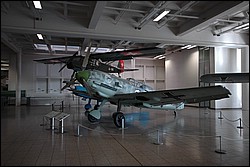 DSC_0223.JPG