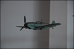 DSC_0253.JPG