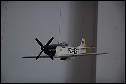 DSC_0255.JPG