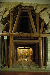 DSC_0277.JPG