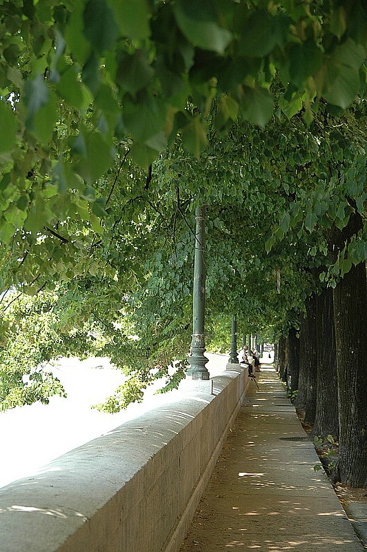 DSC_0085.JPG