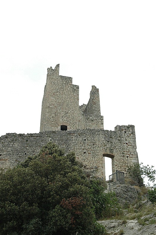 DSC_0237.JPG