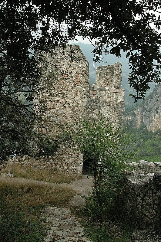 DSC_0246.JPG