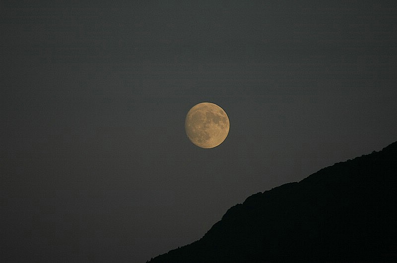 DSC_0416.JPG