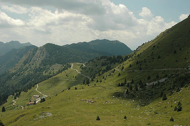 DSC_0425.JPG