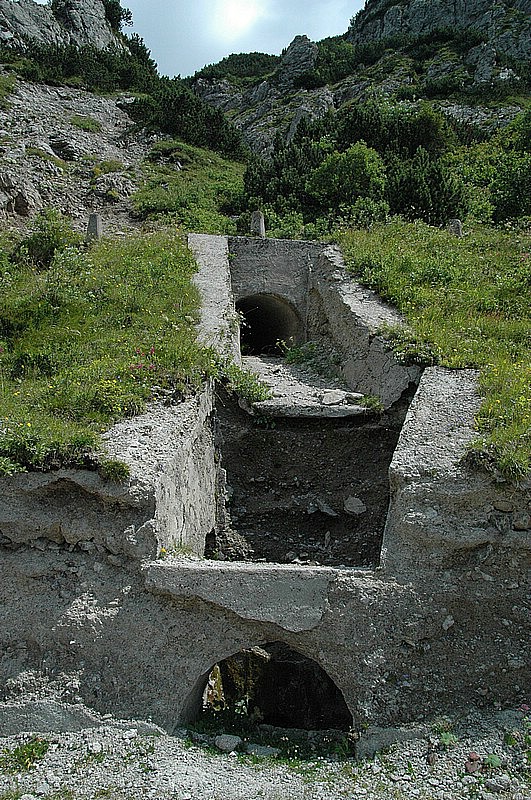 DSC_0429.JPG