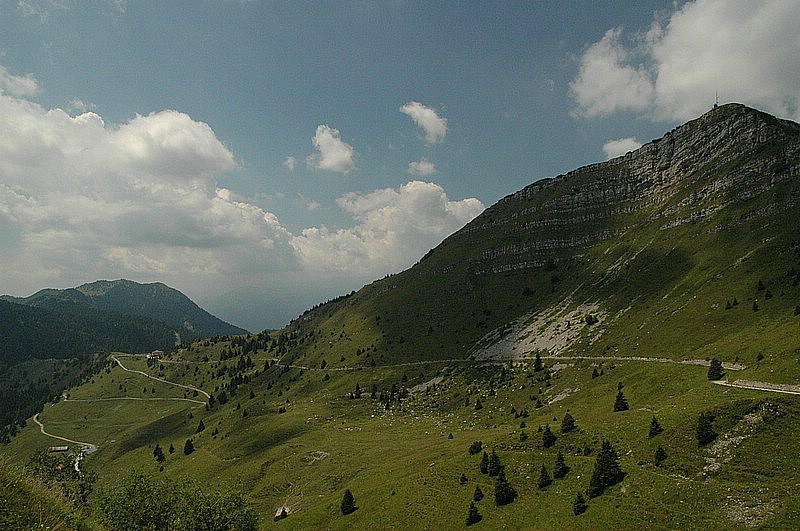 DSC_0430.JPG