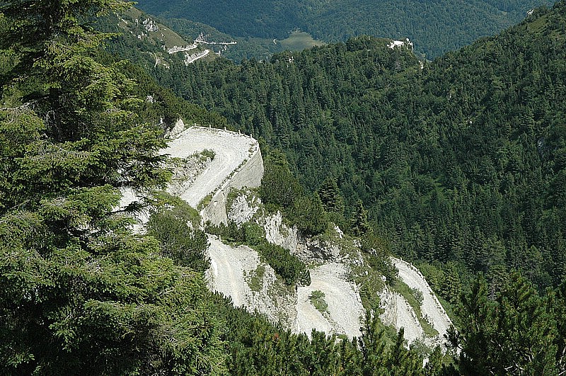 DSC_0437.JPG