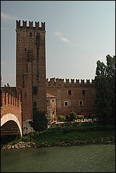DSC_0116.JPG