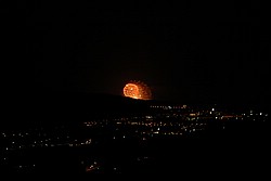 DSC_0216.JPG