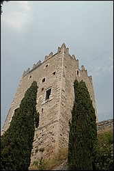DSC_0224.JPG
