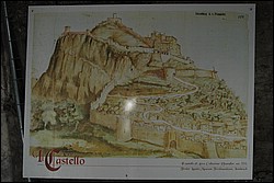 DSC_0242.JPG