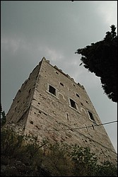 DSC_0251.JPG