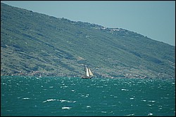 DSC_0354.JPG