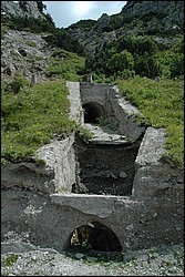 DSC_0429.JPG