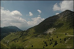 DSC_0430.JPG