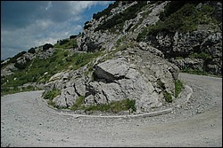 DSC_0431.JPG