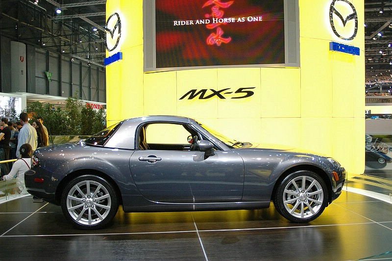 DSC_0137.JPG